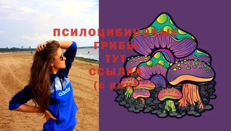 Псилоцибиновые грибы Cubensis  Бугульма 